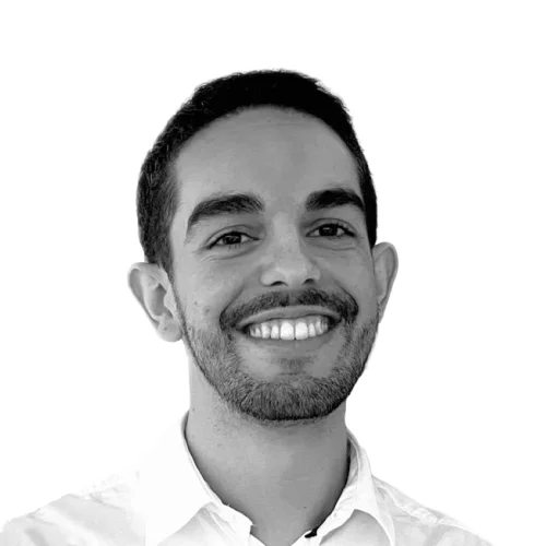 Diego Briceño Software Engineer